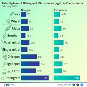 total-uptake-of-nitrogen---phosphorus---india-4-